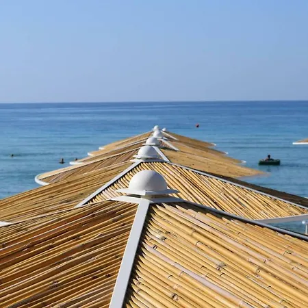 Alba Vila *